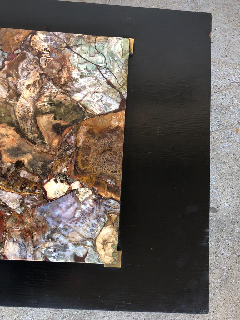 Coffee table with petrified wood top