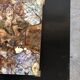 Coffee table with petrified wood top