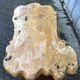 Table basse brutaliste en orme massif de fabrication artisanale
