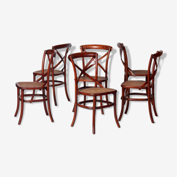 Set of bended wooden chairs