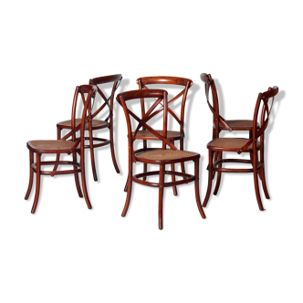 Set of bended wooden chairs