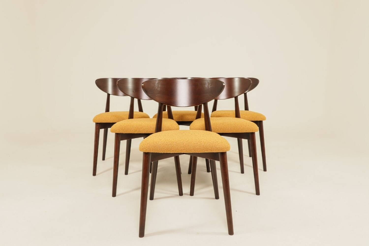 Scandinavian design mustard boucle dining chairs