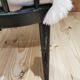 Baumann fan chair