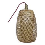Vietnamese suspension