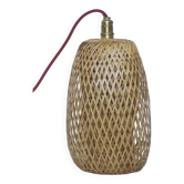 Vietnamese suspension