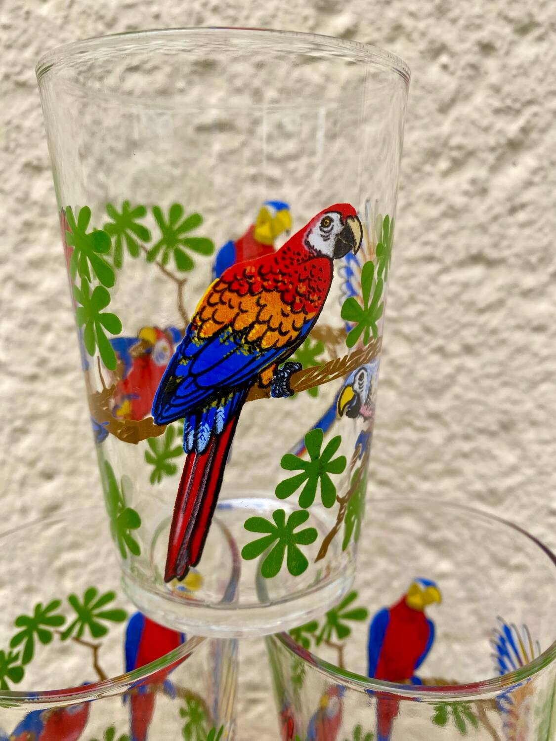 Six vintage parakeet glasses