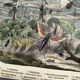 Engraving from 1886 - Insects on the farm - Vintage old lithograph