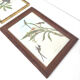 Lot 2 wooden frames botanical illustrations J. Gould and HC Richter