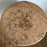 Old log, wooden harness