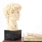Bust of David by Michelangelo, 1970s