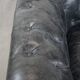 Black cowhide leather chesterfield armchair