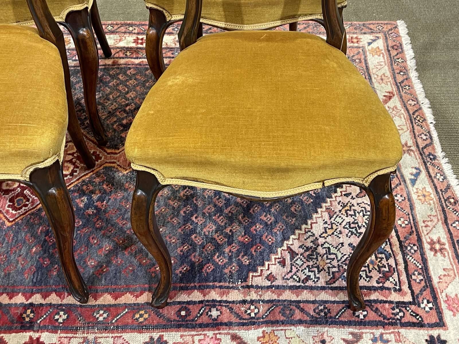 Set of 6 19th century English chairs in walnut