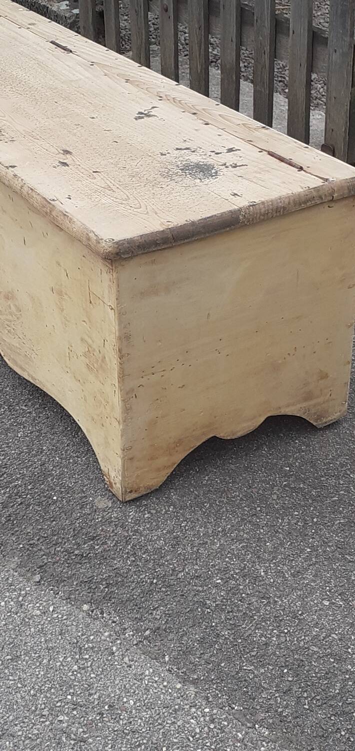 Christmas tree trunk