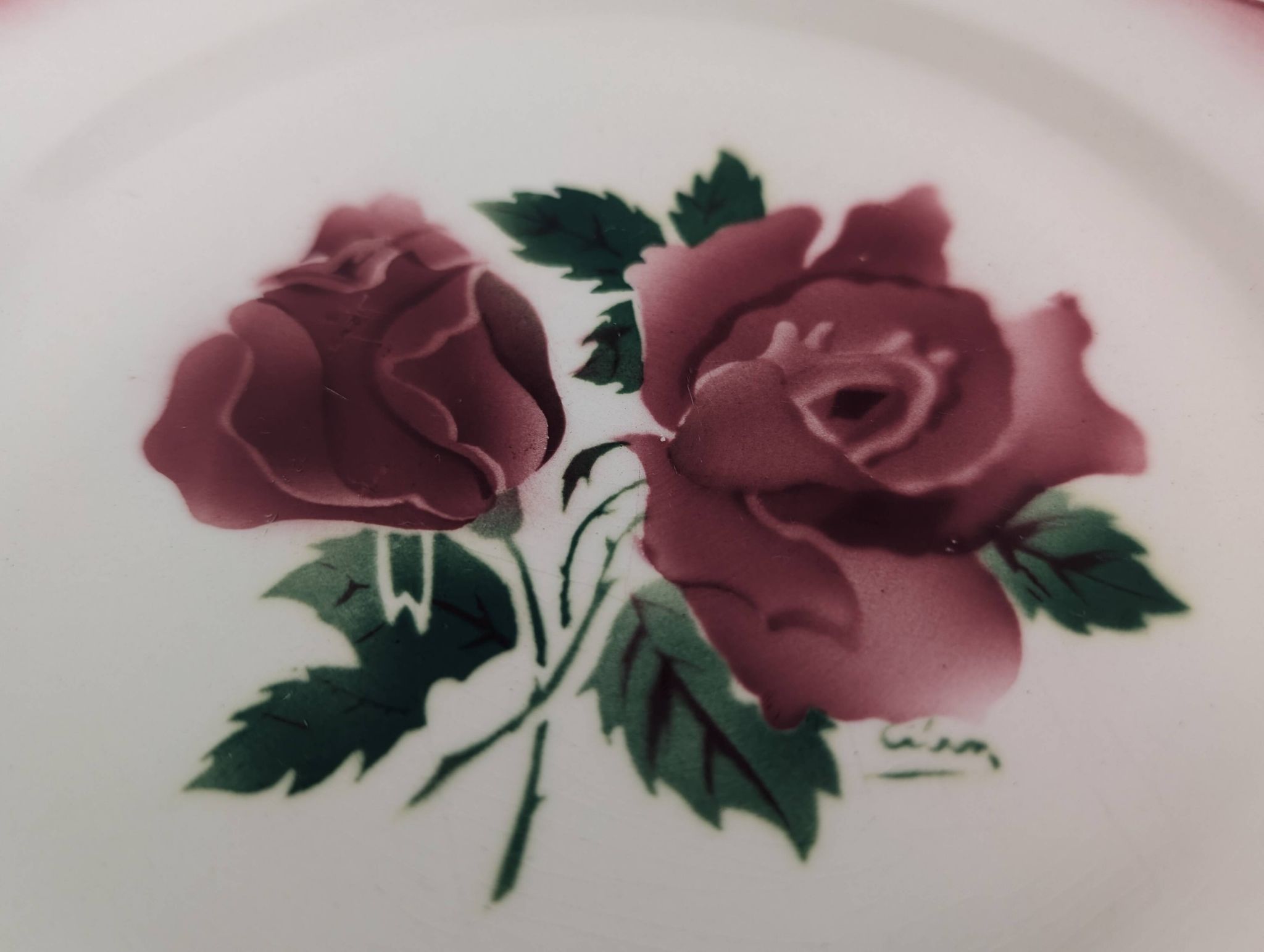 5 assiettes plates Digoin Sarreguemines