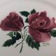 5 Digoin Sarreguemines dinner plates