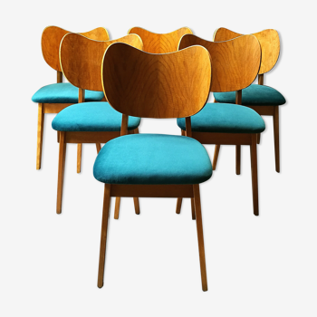 Suite de 6 chaises années 50 velours bleu canard