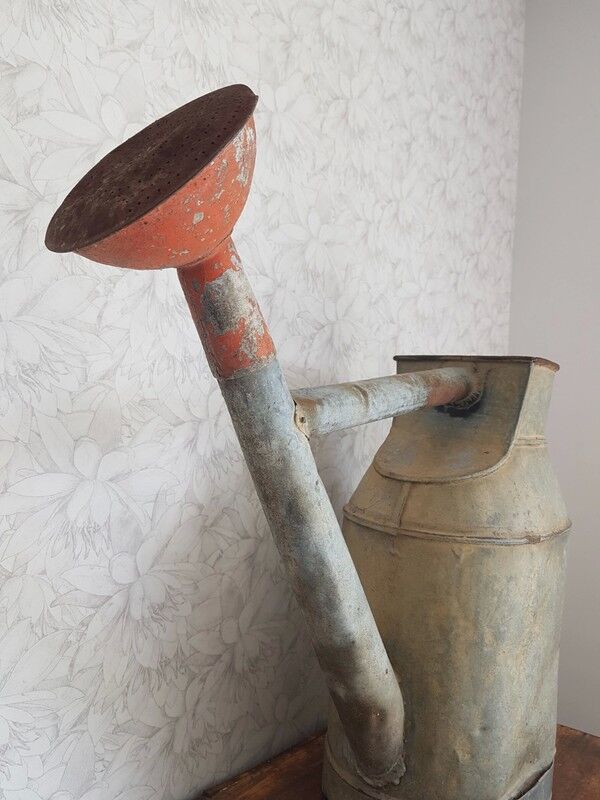 Zinc watering can