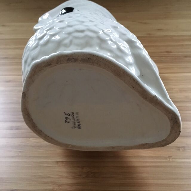 Owl owl pichet in dabbling