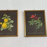 Paire de gravures fleurs