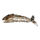 Bottle opener, bottle opener, mother-of-pearl fish