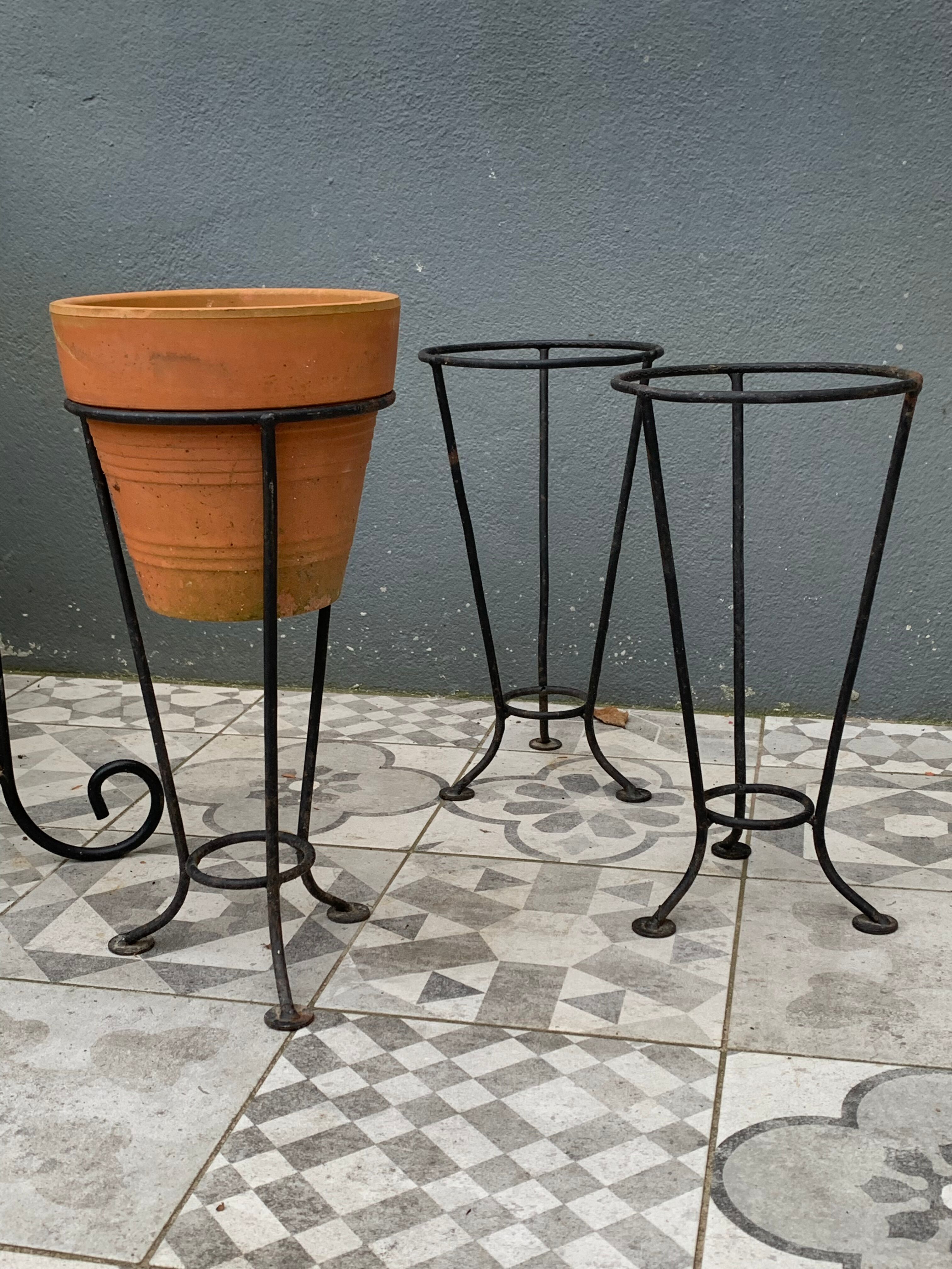 Wrought iron plant support/door