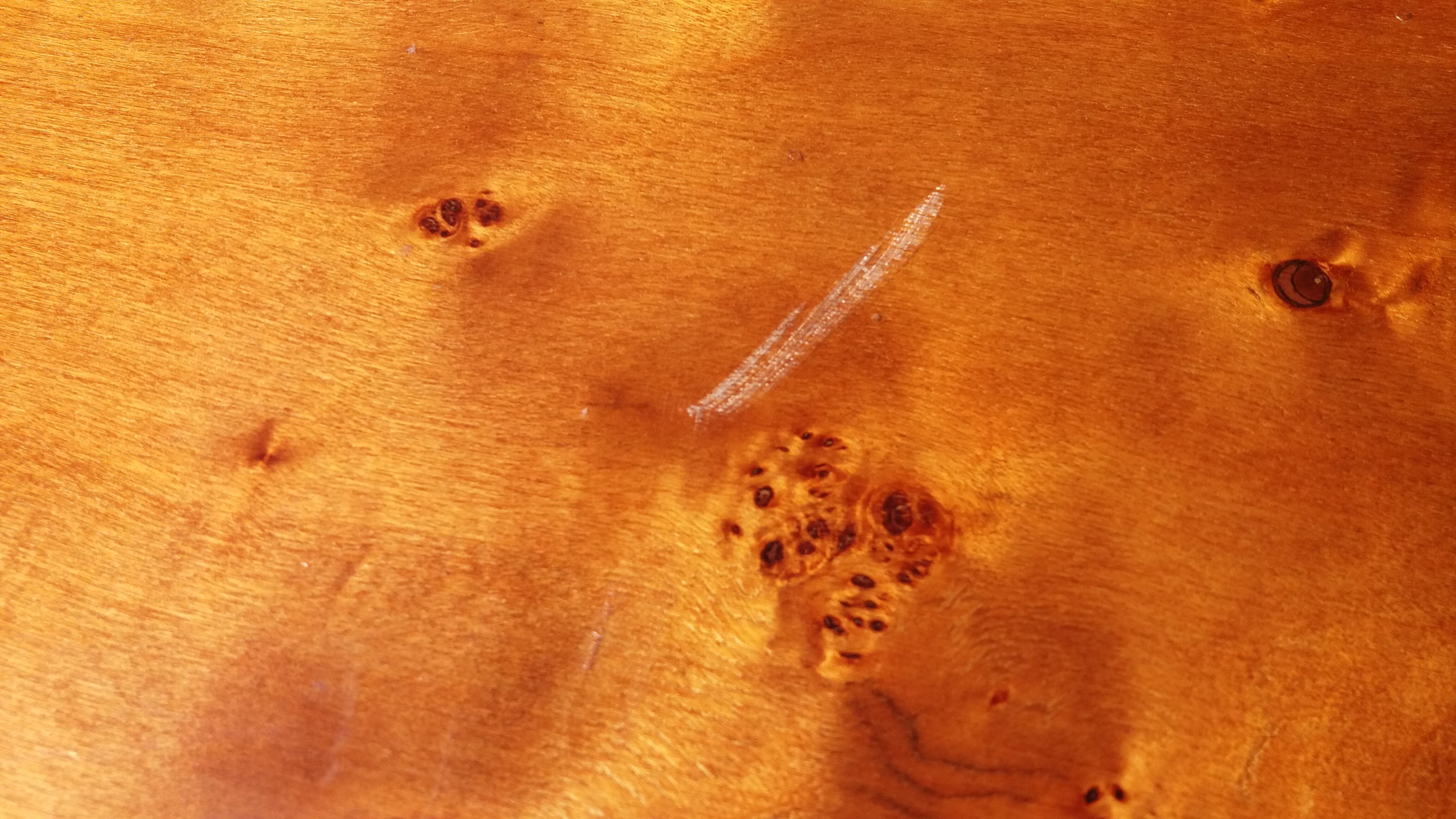 Coffee table in elm magnifying glass
