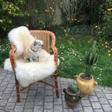 Armchair in rattan and wicker adult vintage 1960