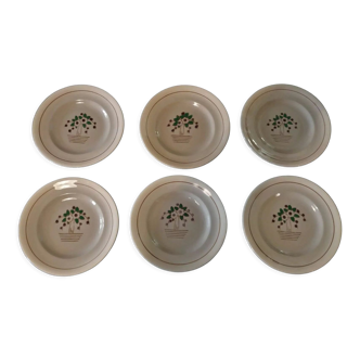 Série de six assiettes plates Longwy années 50 fleurs de cerisier