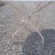 Iron garden table, 117cms in diameter
