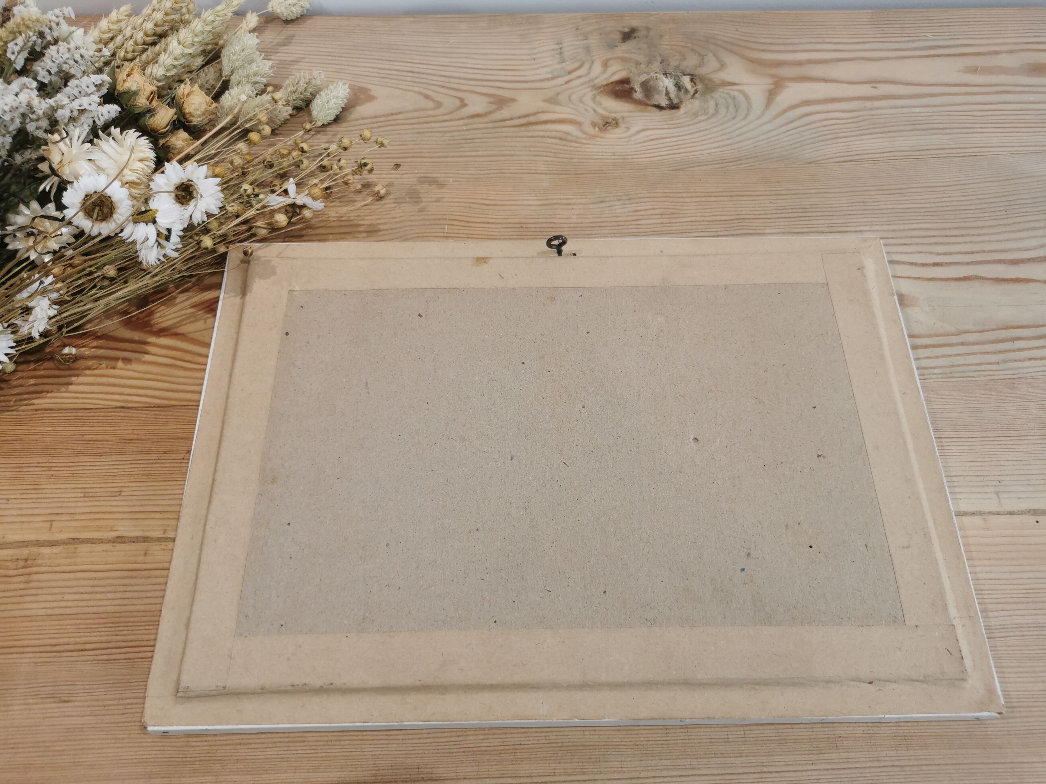 Vintage butterfly taxidermy frame
