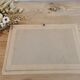 Vintage butterfly taxidermy frame