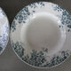 6 assiettes creuses St Amand & Hamage Marie Louise terre de fer