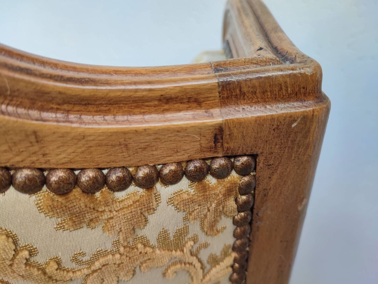 Large shepherdess with ears