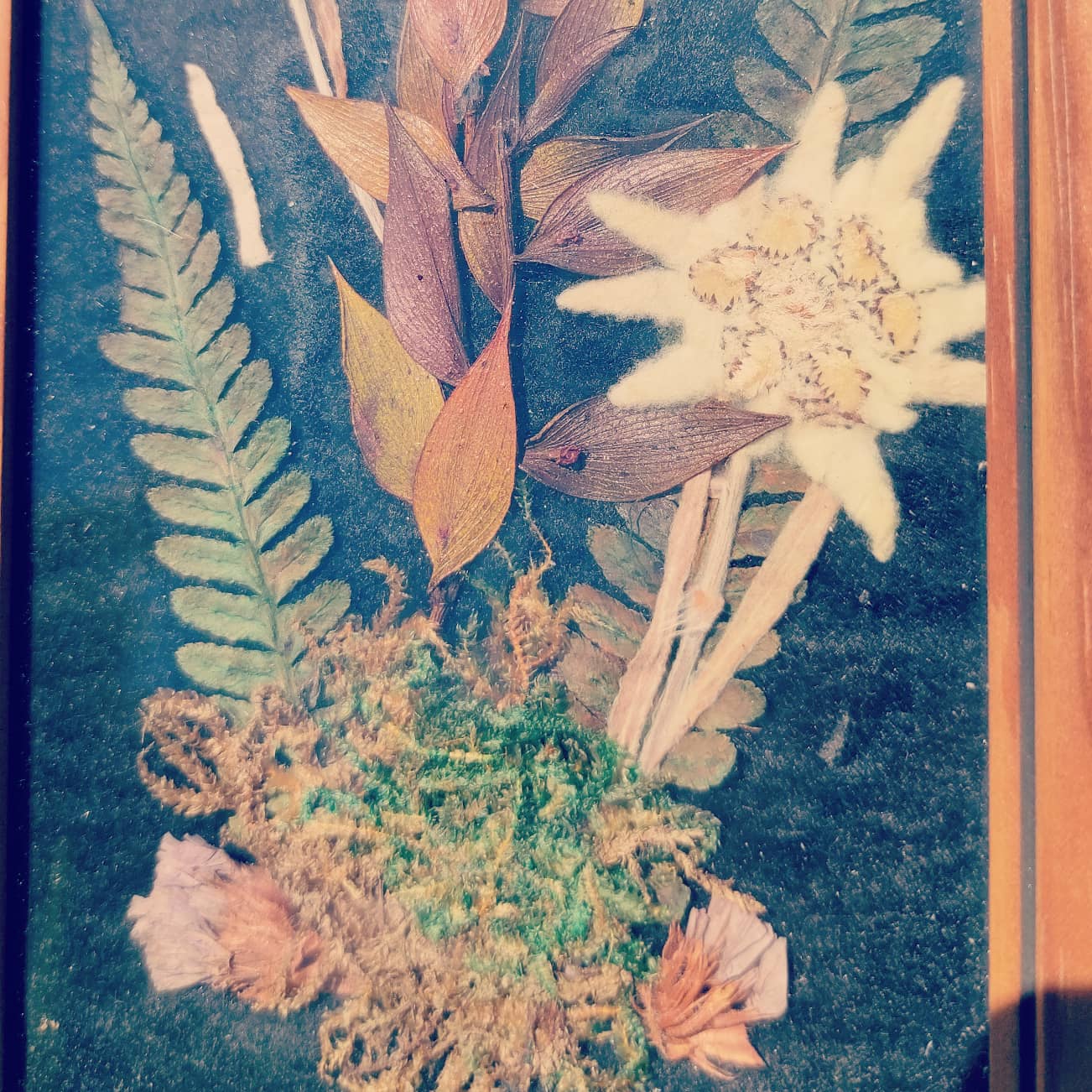 Cadre vintage fleurs séchées