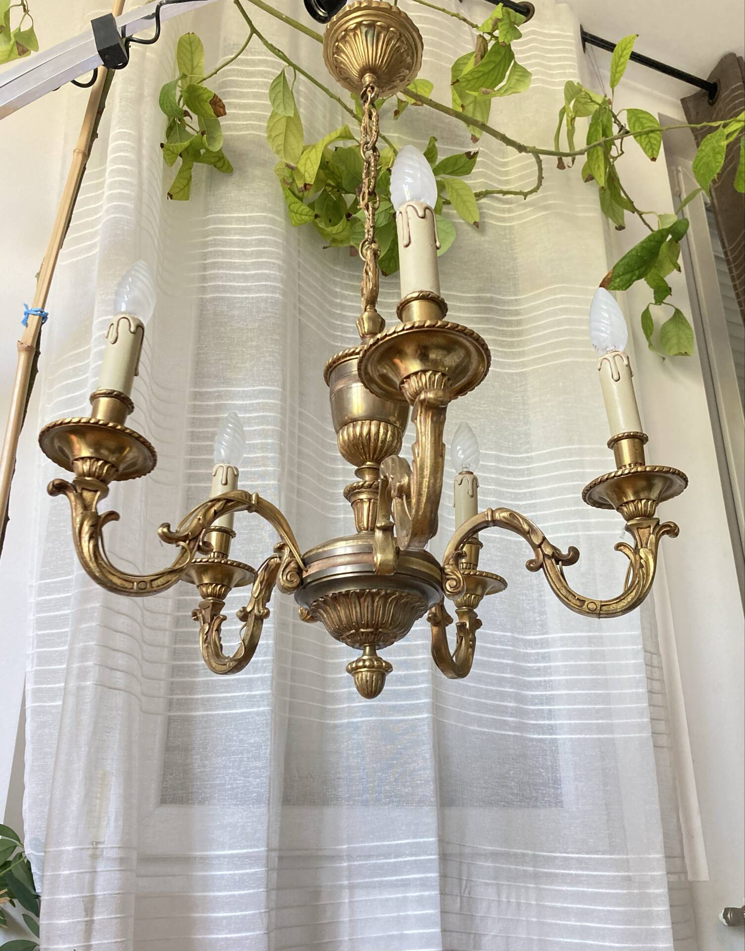 Louis XV style chandelier from the mid-20th century in solid gilded bronze.