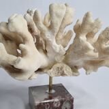 Antique White Coral on Marble Base, Height 18 cm