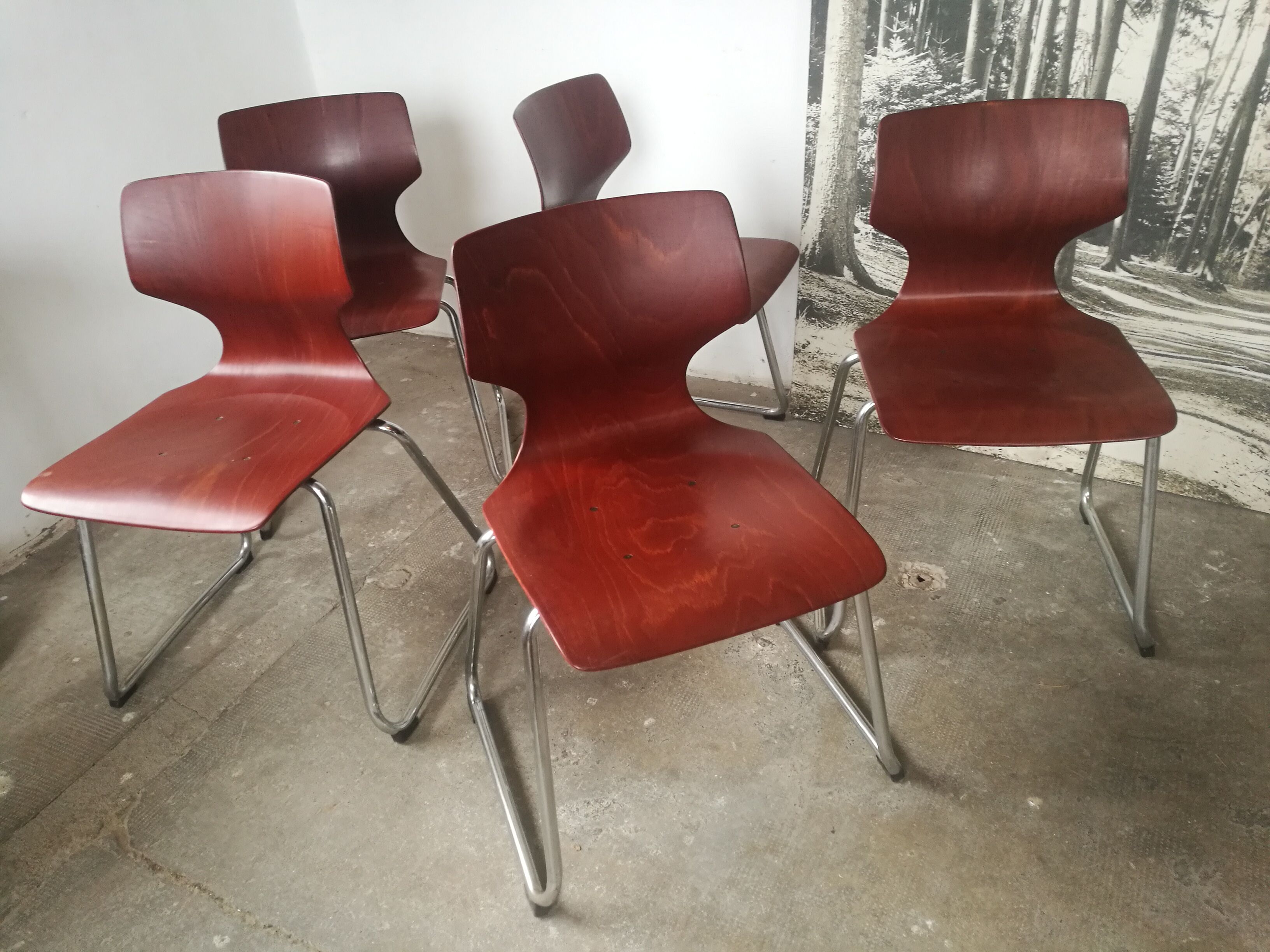 5 Flototto stackable chairs
