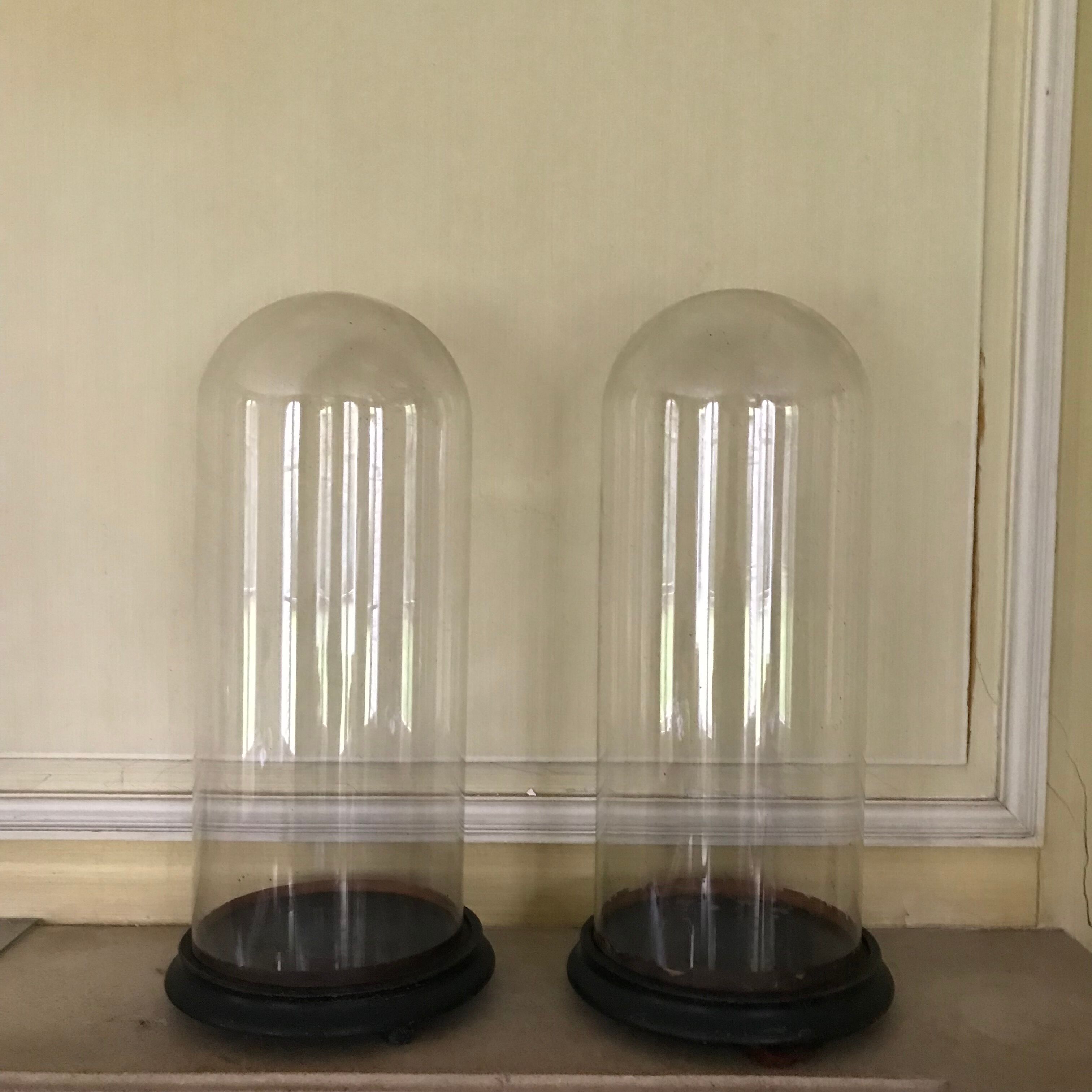 Pair of bride and groom globes in blown glass XIX century