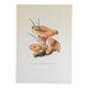 Illustration botanique "champignons", années 60