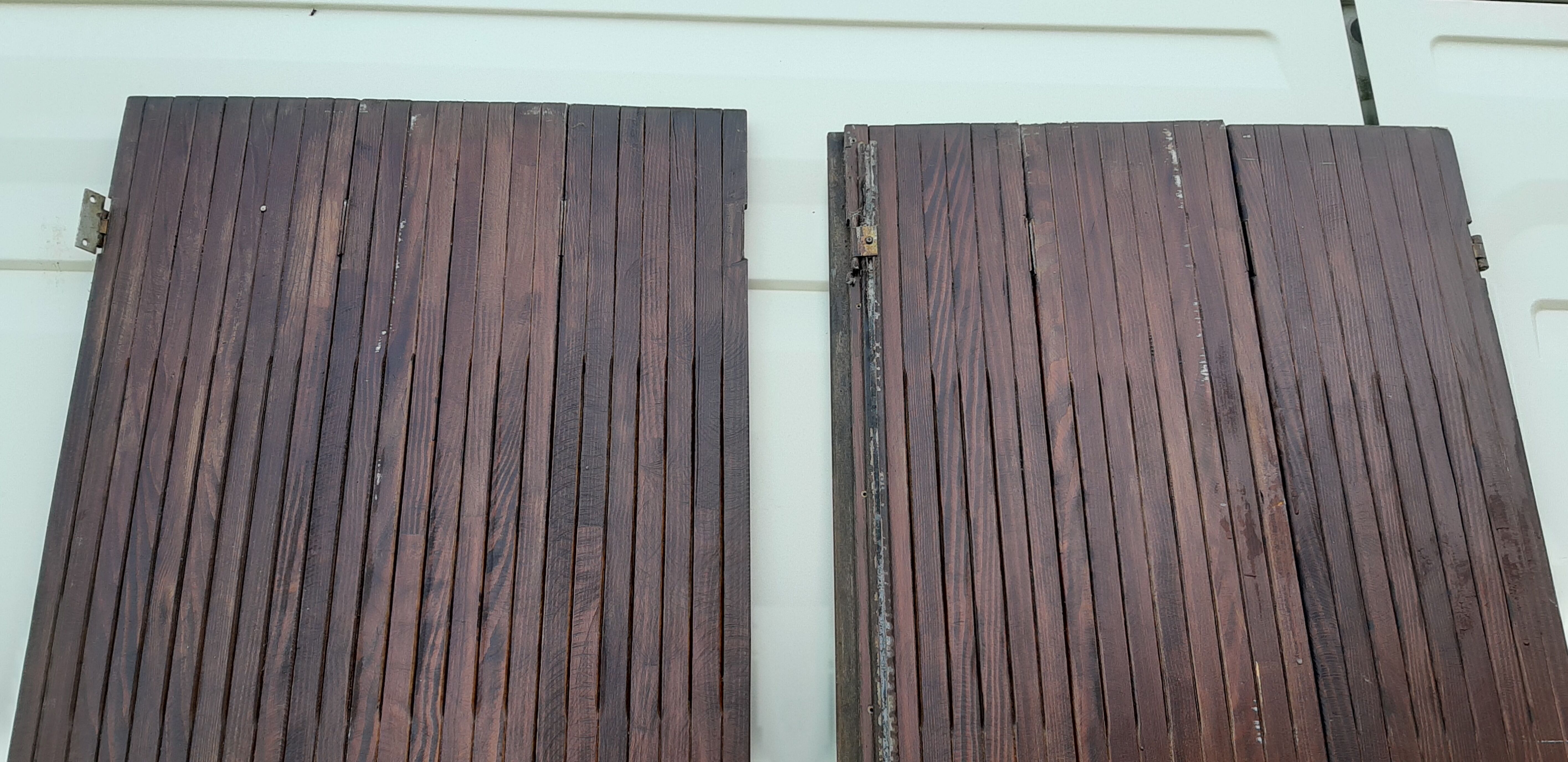 Ancient persians in pine