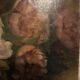 Still life roses
