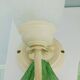 Appliques murales en forme de tulipe et feuillage