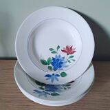 5 soup plates