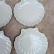 Set of 8 scallop shell plates