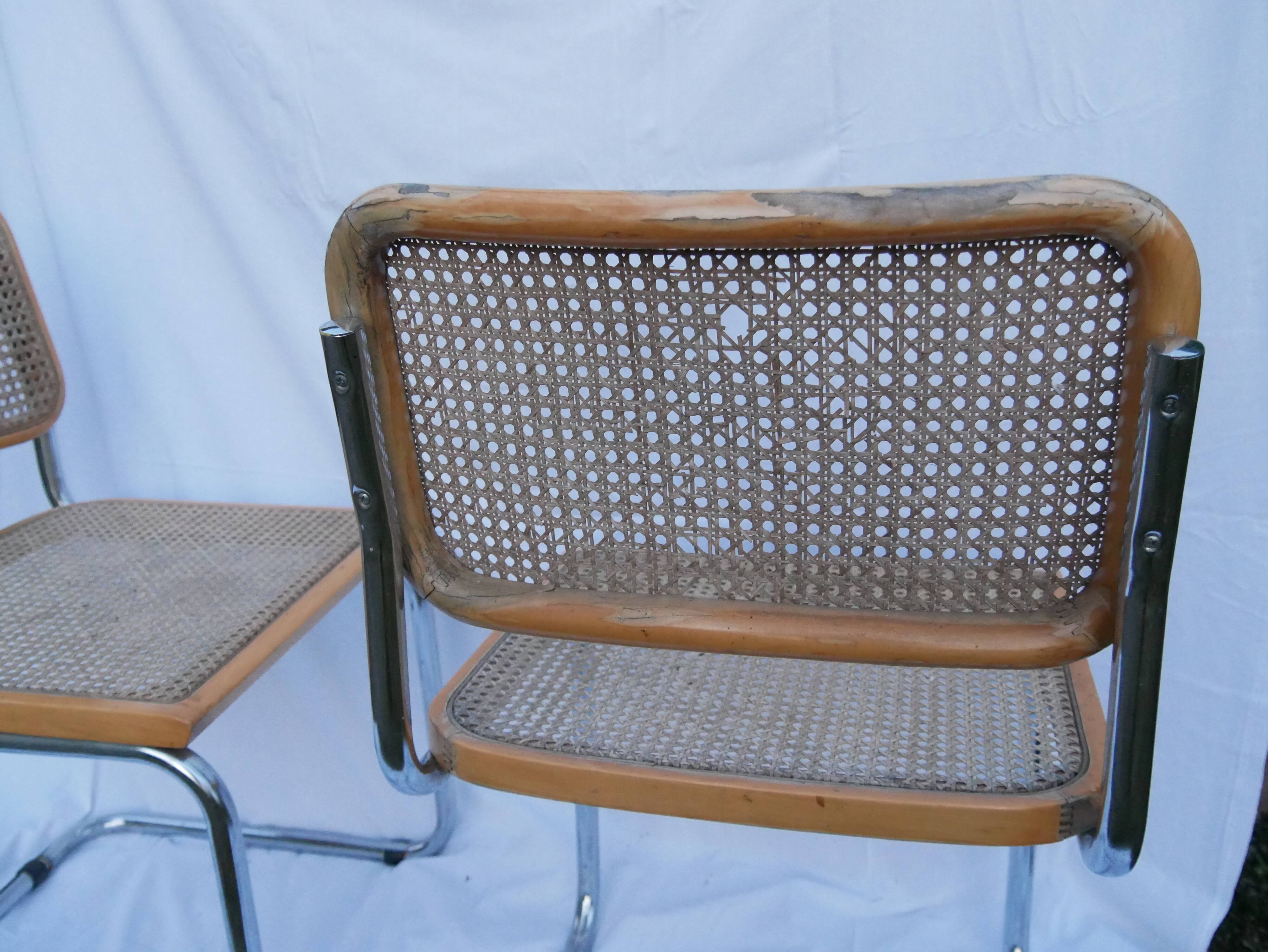 Duo of chaises Marcel Breuer model cesca b32 beech