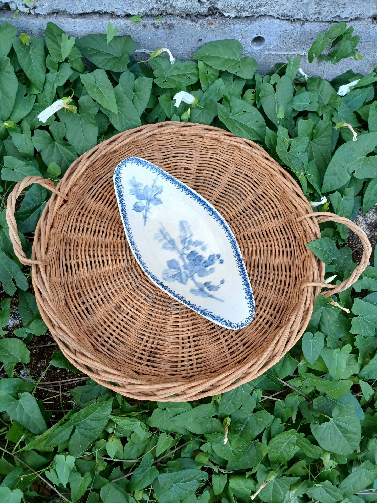 Old Ravier in Sarreguemines ironstone