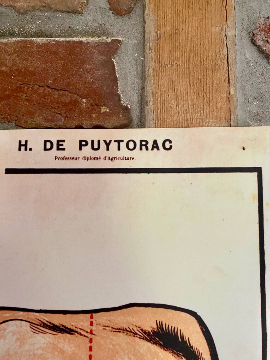 Butchery poster (reissue)