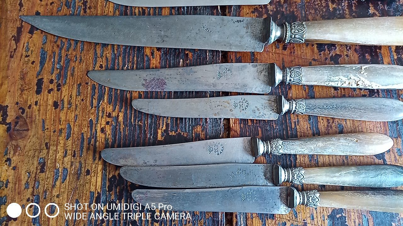 10 horn handle knives including 4 Berthier Valence - 5 logo with the crown 202