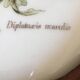 Wooden frame composed of a central piece of porcelain with floral motifs "Diplotaxis muralis"