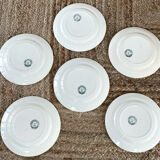 6 old plates in iron earth.